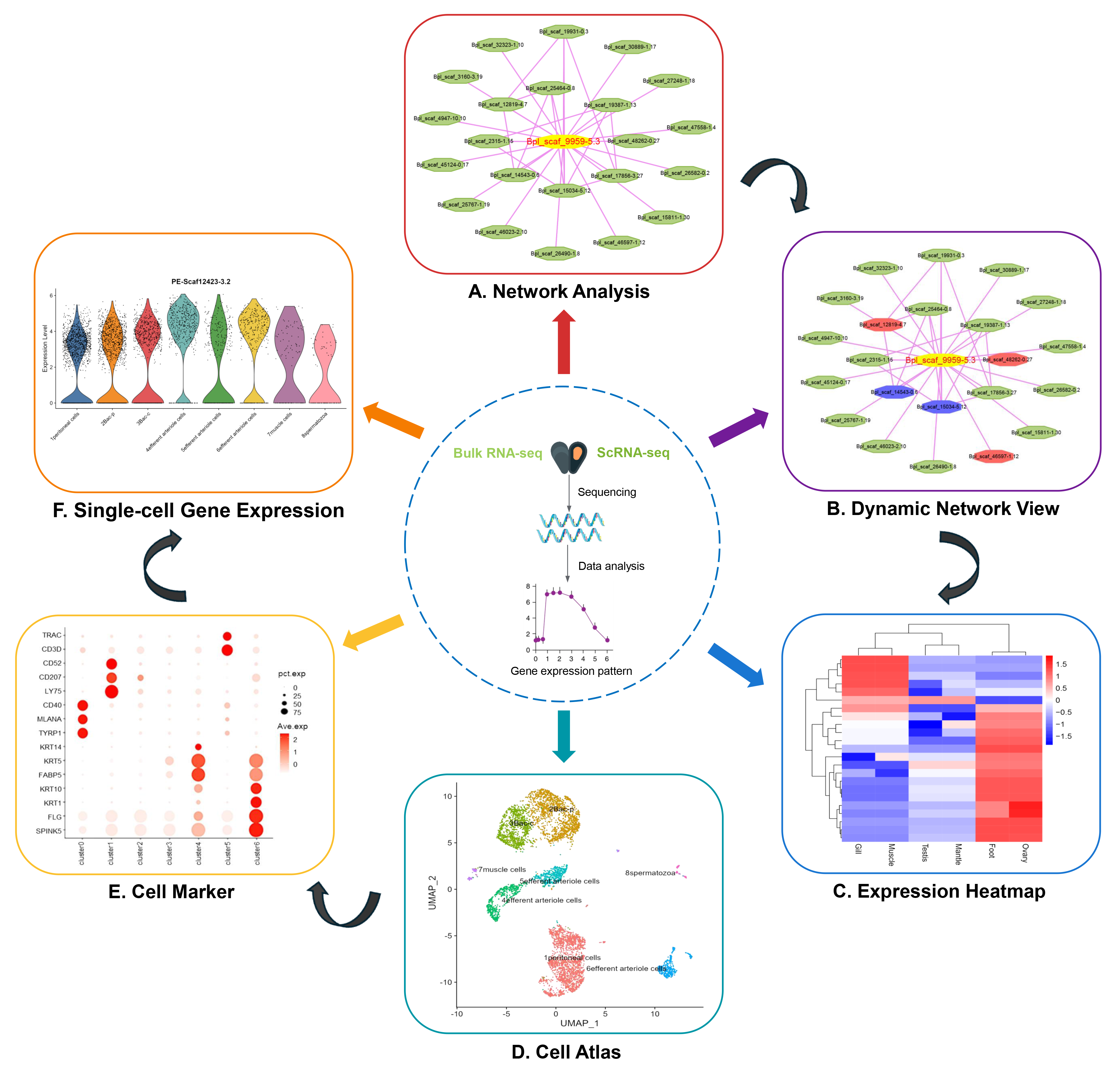 1770100180105480.png 1770100180105480.png